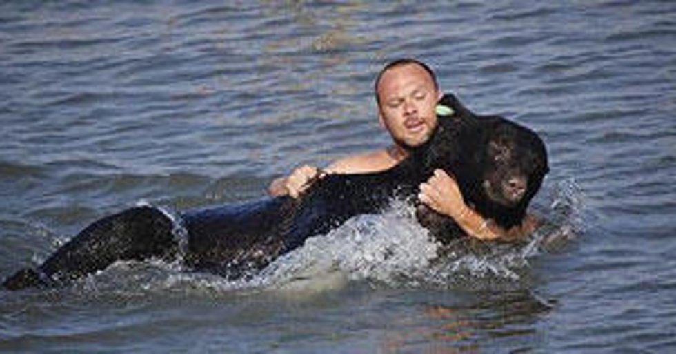 Spasio medvjeda od utapanja