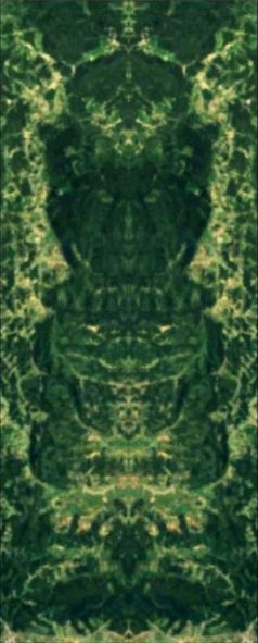 Totem vuka u Hrvatskoj