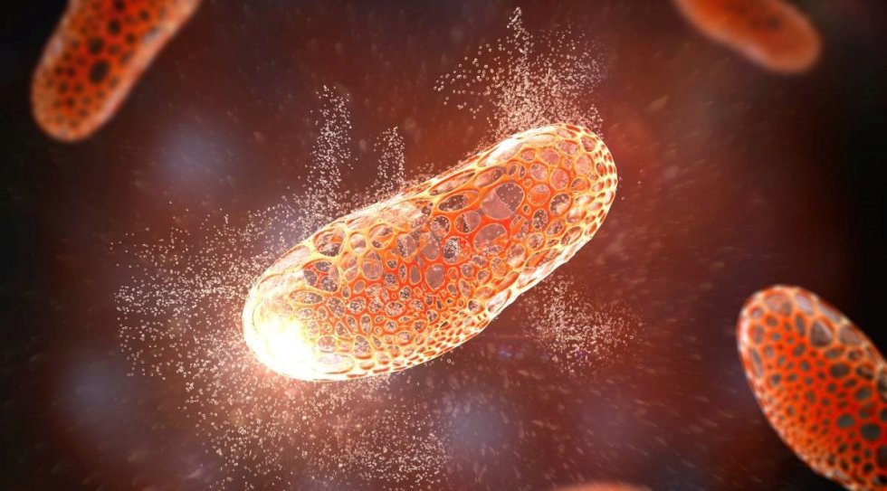 Norvežani pronašli rješenje za otporne bakterije