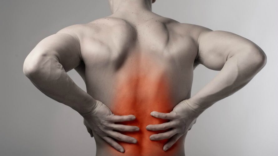 LISTIĆI ZA DOBRO ZDRAVLJE  (8.)