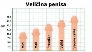 10. Plusevi i minusi malih i velikih penisa!