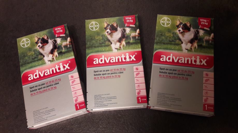 Kako je prevarena Magdalena V?