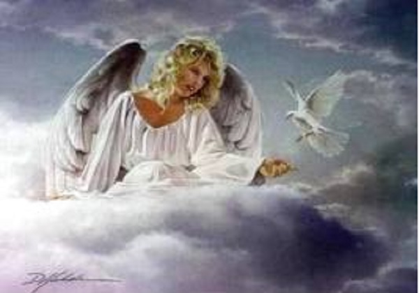 NA NASLOVNOJ STRANI......