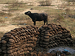 Indijske priče: NA KRILIMA NEMIRA