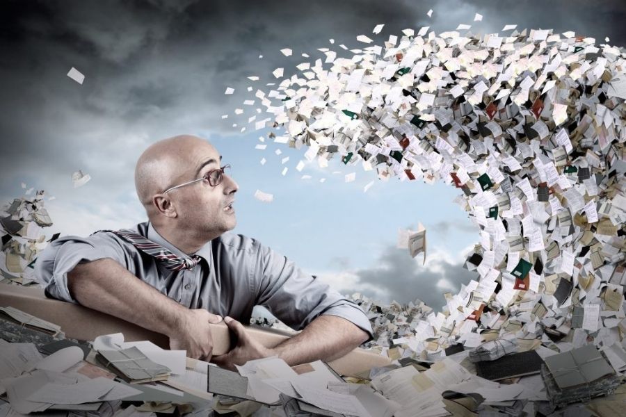 Government bureaucracy