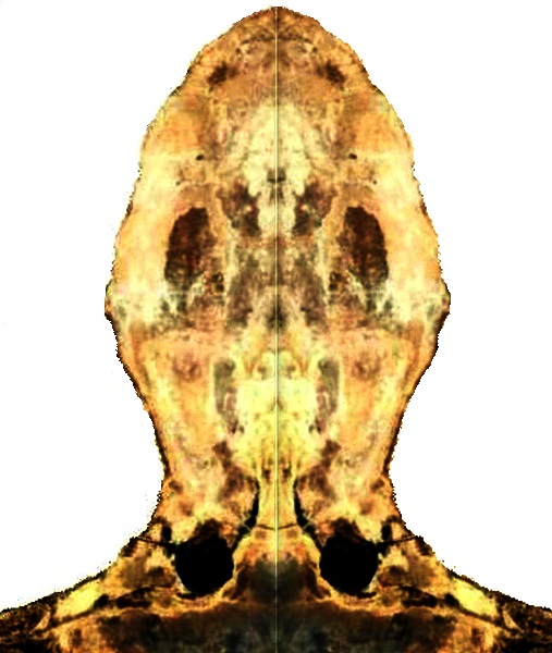 Čovjek sa željeznom maskom