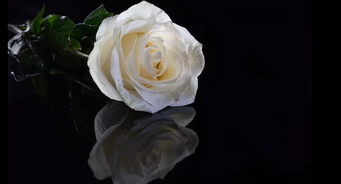 Poslednje riječi velikih ljudi