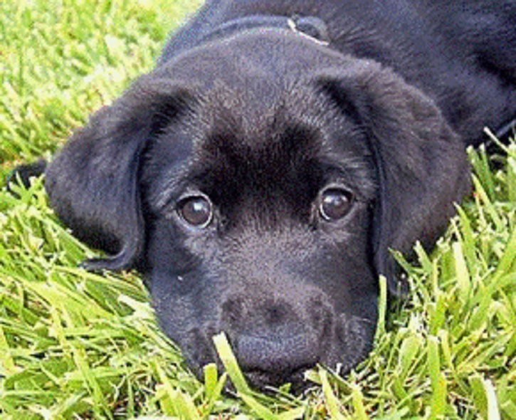 Prijateljstvo i poznanstvo