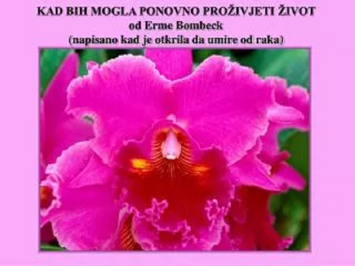   KAD BIH MOGLA PONOVNO PROŽIVJETI ŽIVOT