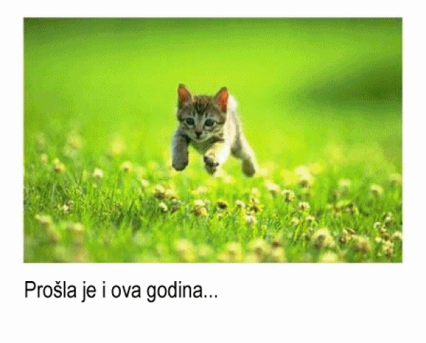 Želje za Novu godinu