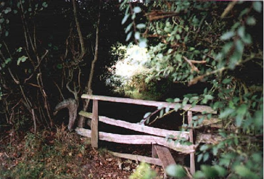 Tri politička haikua