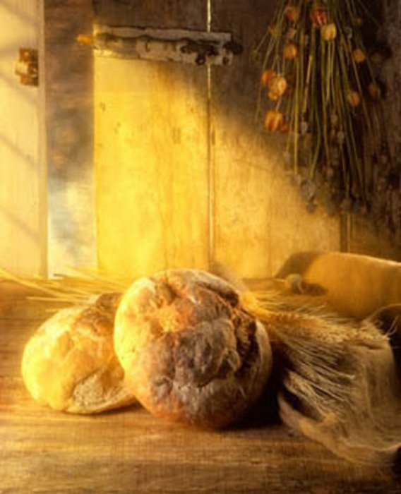 Tri politička haikua