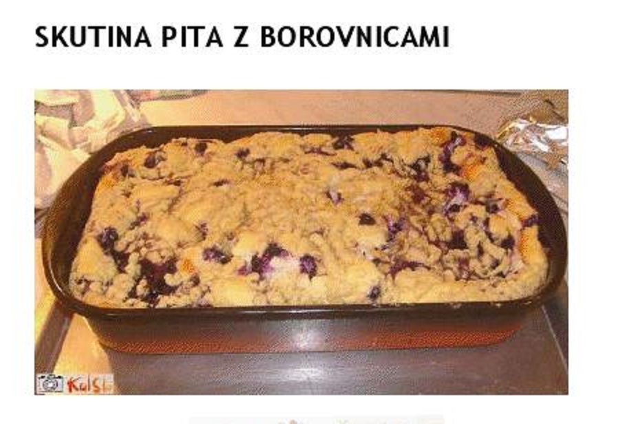 SKUTINA PITA S BOROVNICAMI