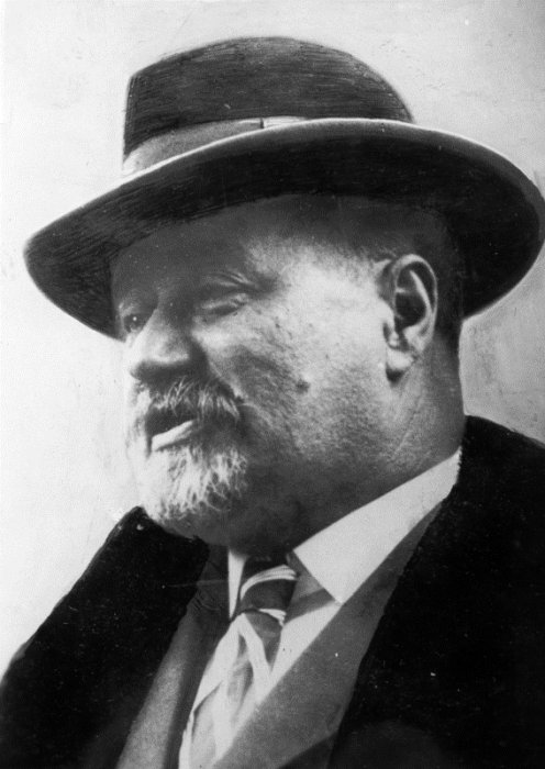 Stjepan Radić - u raljama politike