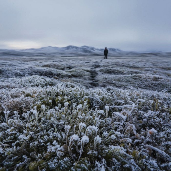 ZLATKO MARTINKO, KOJA RIJEČ O HAIKU