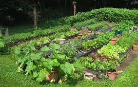 Zabrana proizvodnje vlastite hrane na Novom Zelandu