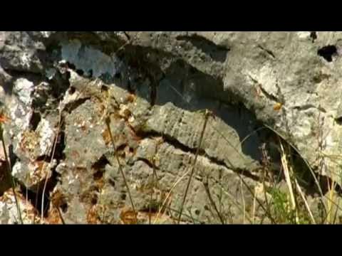 Zmajeve linije kroz Istru