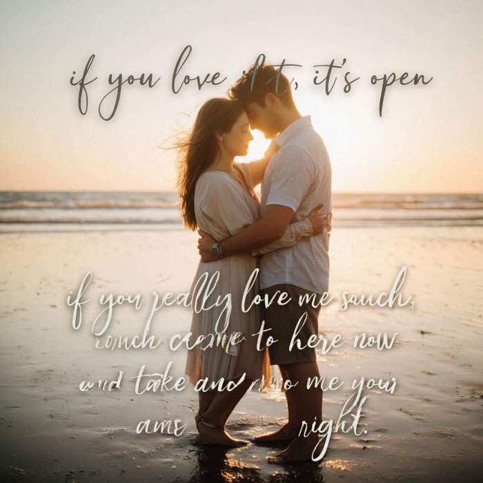 Ako je volis voli otvoreno