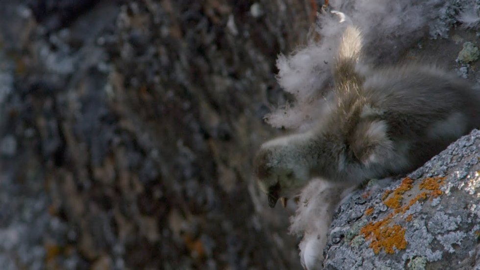 Što ti je sreća u životu