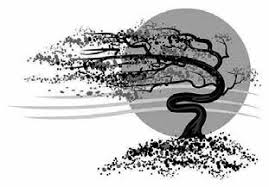 Antologija hrvatskog haiku pjesništva - MAŠA BAMBIĆ