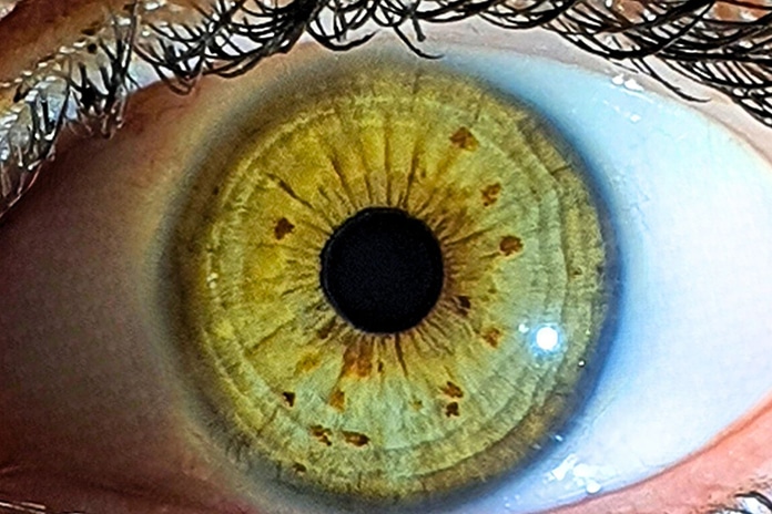 Mržnja zgusnuta u šutnju