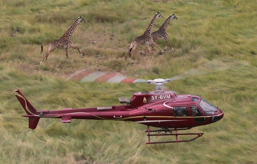 Helikopterski safari