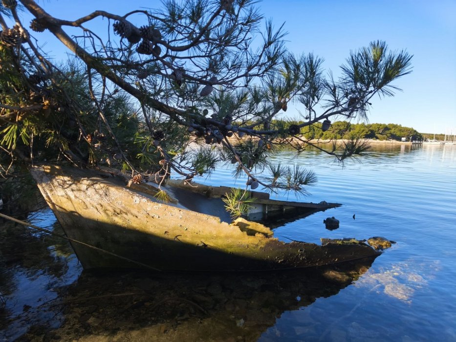 Koliko dugo mi treba da si oprostim?