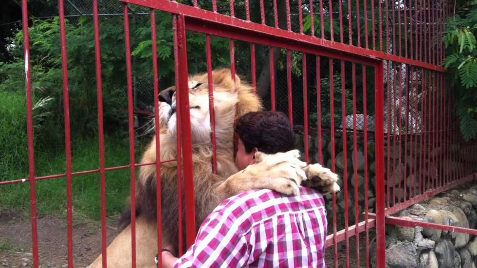 Ništa nije kao što se čini