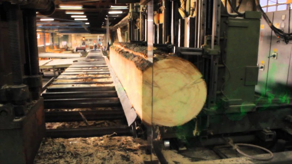 Sandra - Mrkopaljci, Čarobnjaci