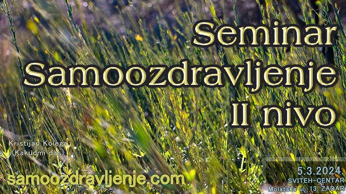 SEMINAR II . Kristijan Kolega