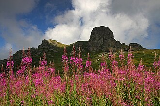 Stara planina i teozofsko društvo