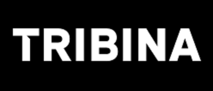 TROČLANSTVO - Državna oblast