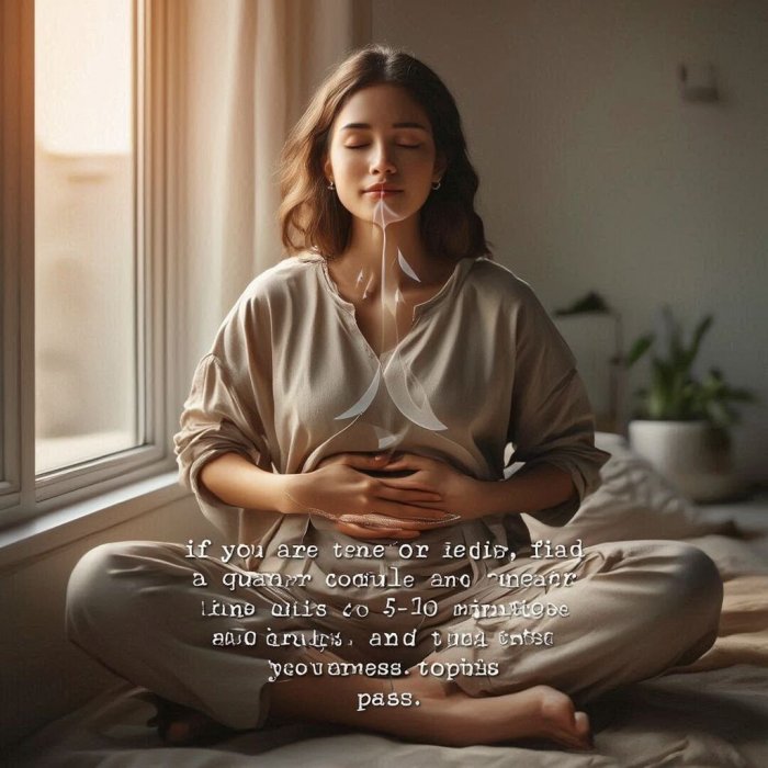 ZDRAVLJE I VITALNOST - UMIRUJUĆA PRANAJAMA - MEDITACIJA