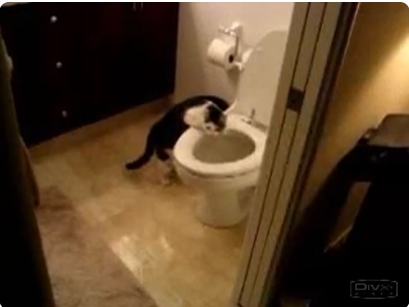 Veliki račun za vodu !!! Pročitaj pa pogledaj...