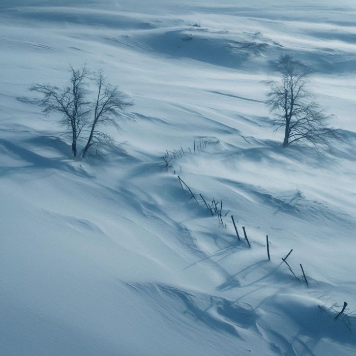 Trenutak za haiku poeziju