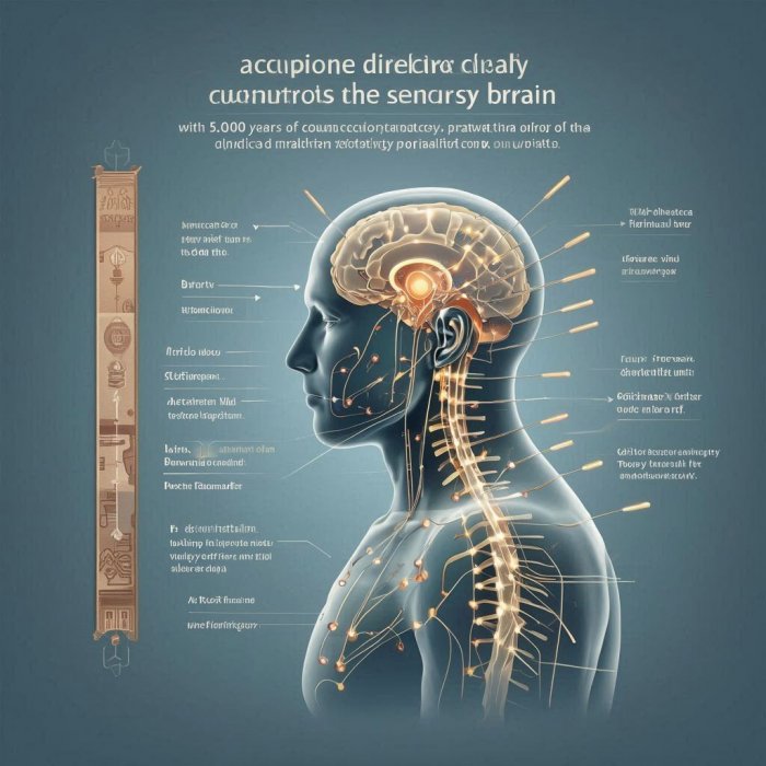 KONTROLA ČIJA: AKUPUNKTURA DIREKTNO UPRAVLJA OSEĆAJNIM MOZGOM