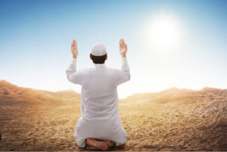 Obaveze, adabi tijekom dana i učenja prije spavanja