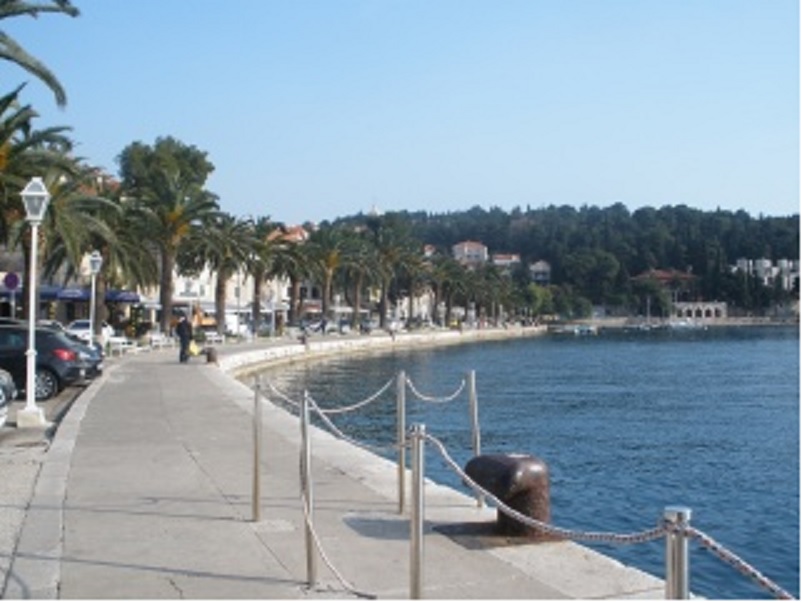 ...gdje palme uspijevaju....