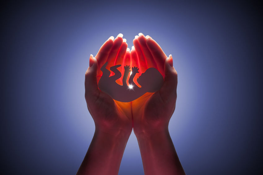 A. Rebić: Pobačaj je veće zlo od pedofilije