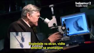 Biopolje - energetski vampirizam