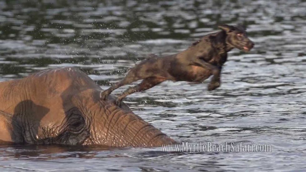 a da dan bude još svježiji i ljepši.......