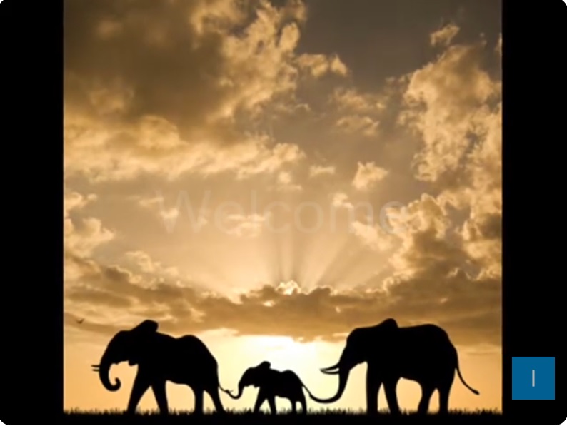 I AM Courageous - I AM University Consciousness