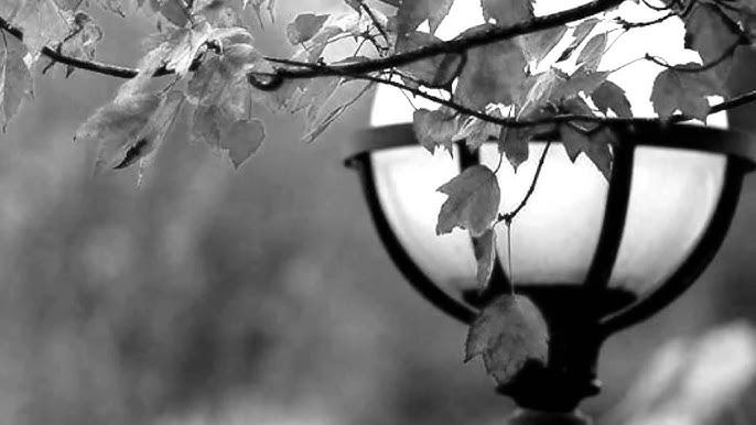 Ieri - Anonimo Italiano