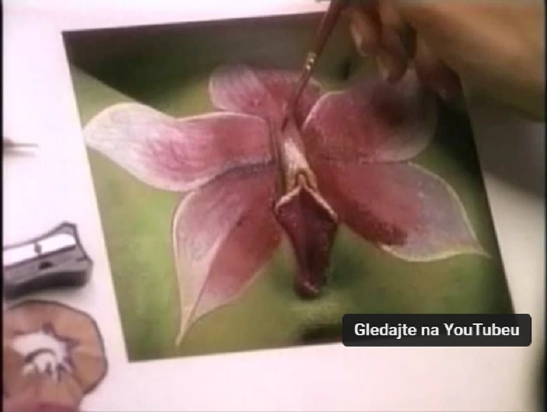  orhideja........baje najlepša
