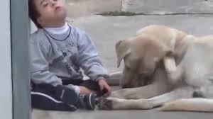 VIDEO: PAS NAGOVORIO DJEČAKA S DOWNOVIM SINDROMOM NA IGRU 'Inače mrzi fizički kontakt'