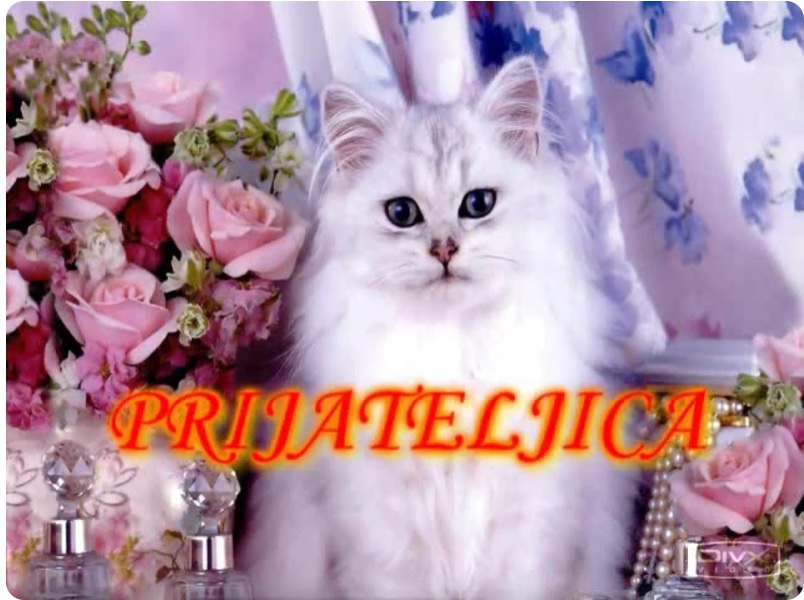 najdublji vir ljubavi podno površinskih valova osjećajnosti