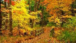 Richard Clayderman Love story