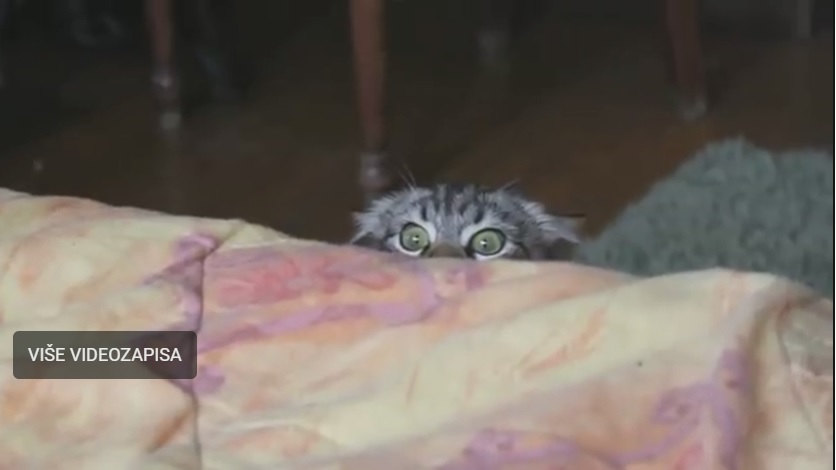 gleda me špijun!!!!!!