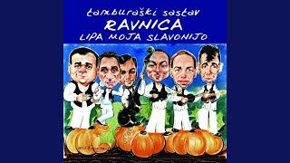 SVUD PO SELU PRIČE KRUŽE...