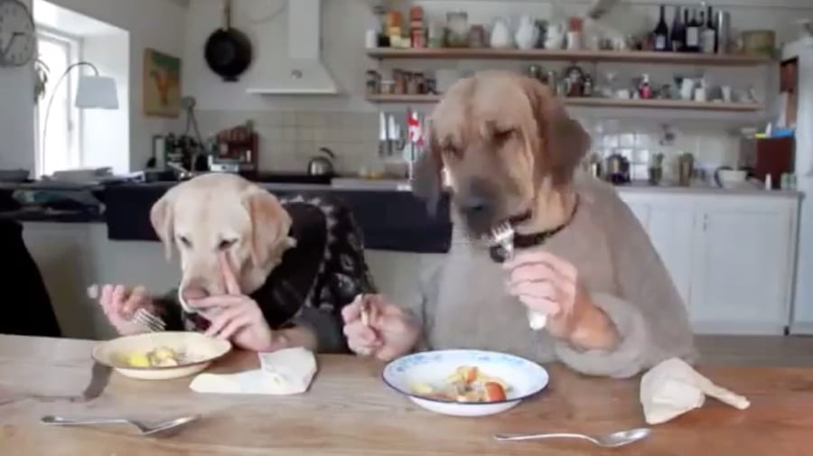 DVA PESEKA U RESTORANU...((-: